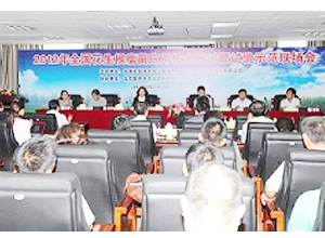 DB视讯
成功主办2012年全国花生根瘤菌应用技术研讨暨试验示范现场会