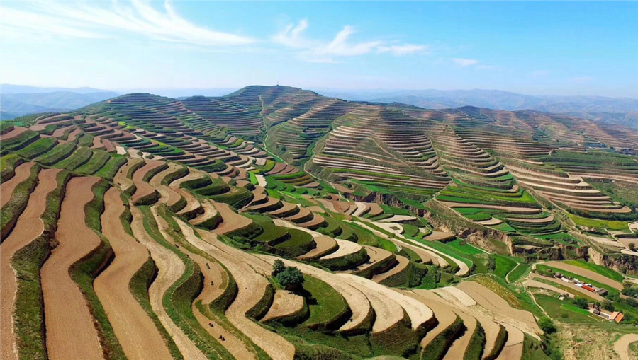 领先生物｜国家重点研发计划“黄土高原旱作适水改土与产能提升技术模式及应用”项目启动